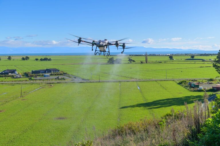 Weed Spraying in Tasman: Why Drone Technology Is Transforming Modern Weed Control
