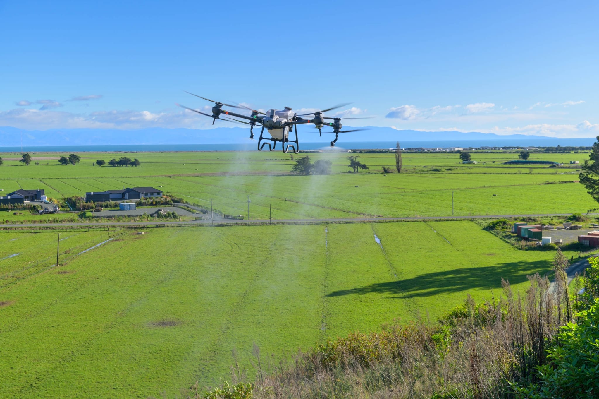 Weed Spraying in Tasman: Why Drone Technology Is Transforming Modern Weed Control